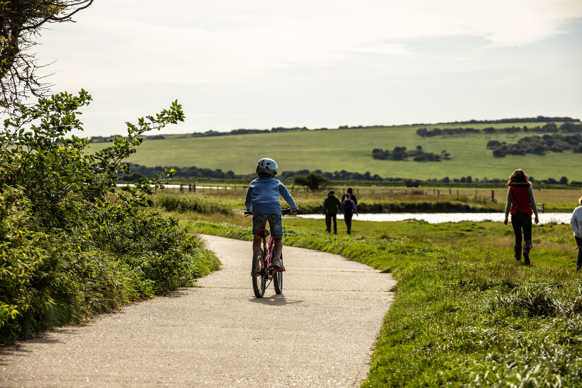 Accessible Trails image