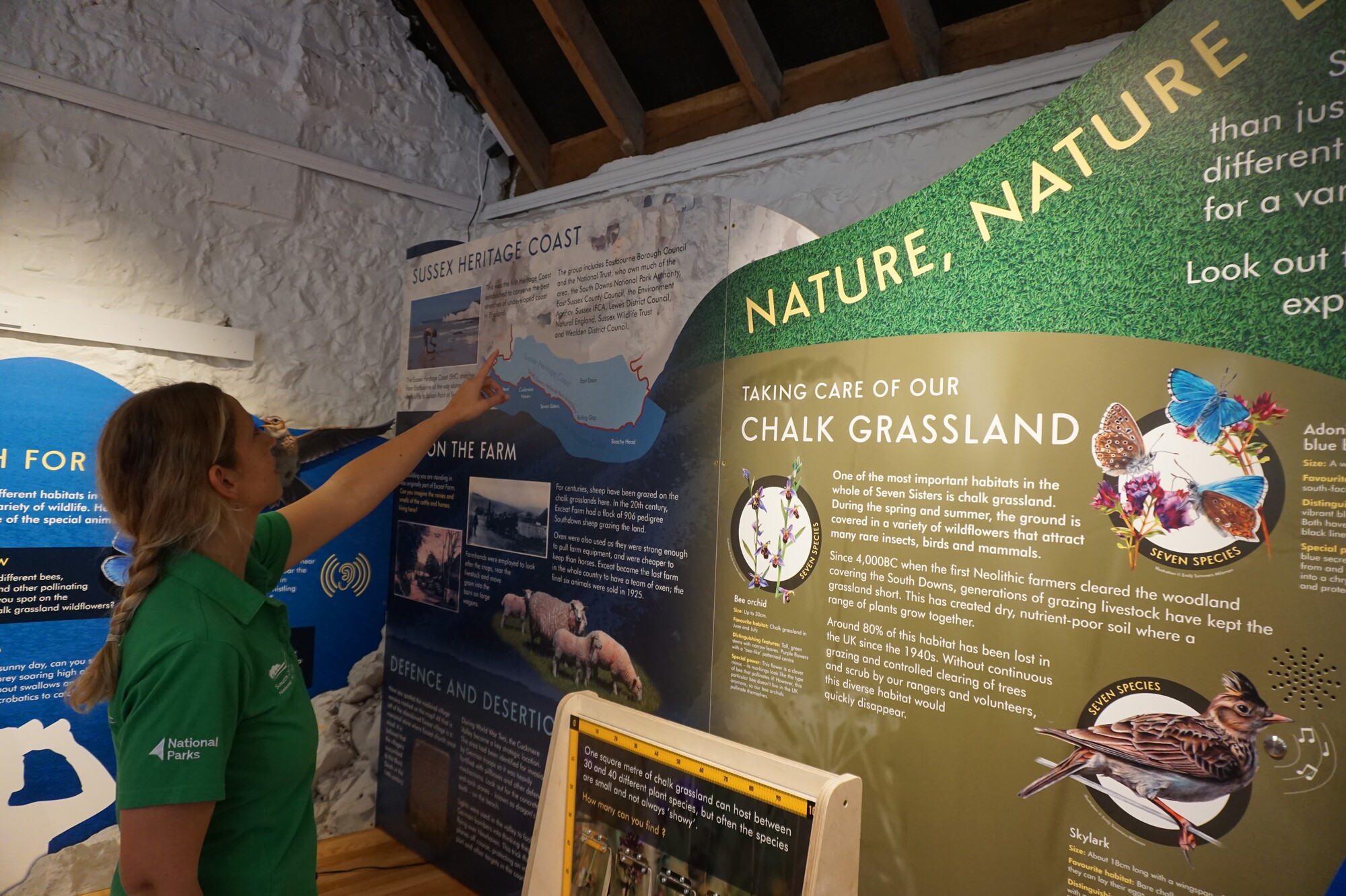 Multimillion pound makeover at iconic Seven Sisters is unveiled Seven