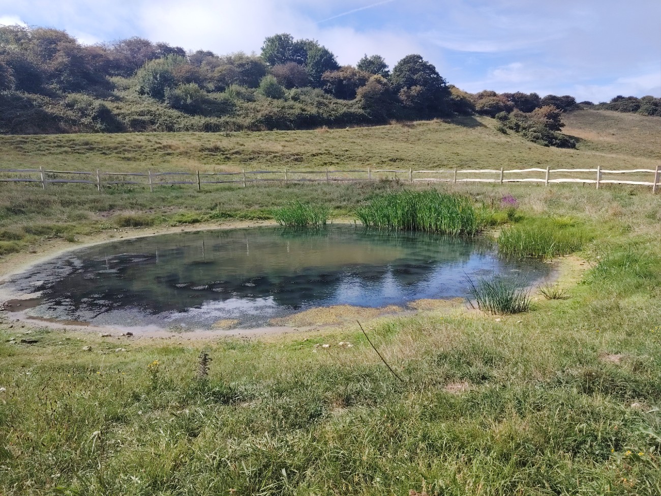 Celebrating World Water Day! image