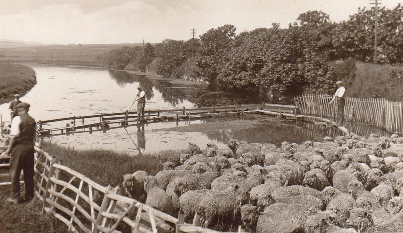 Exploring Local History: Farming & Rural Life - walk and talk with Ian Everest image