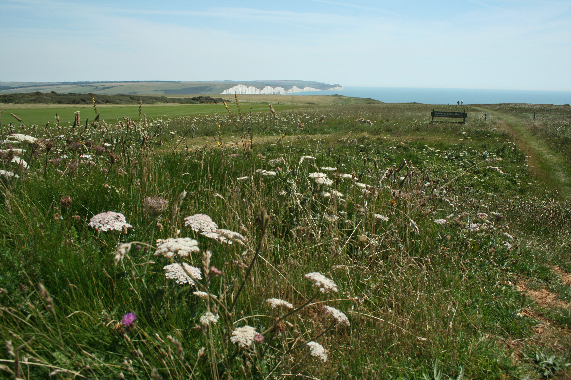 Huge new water-inspired National Nature Reserve is created in South Downs image