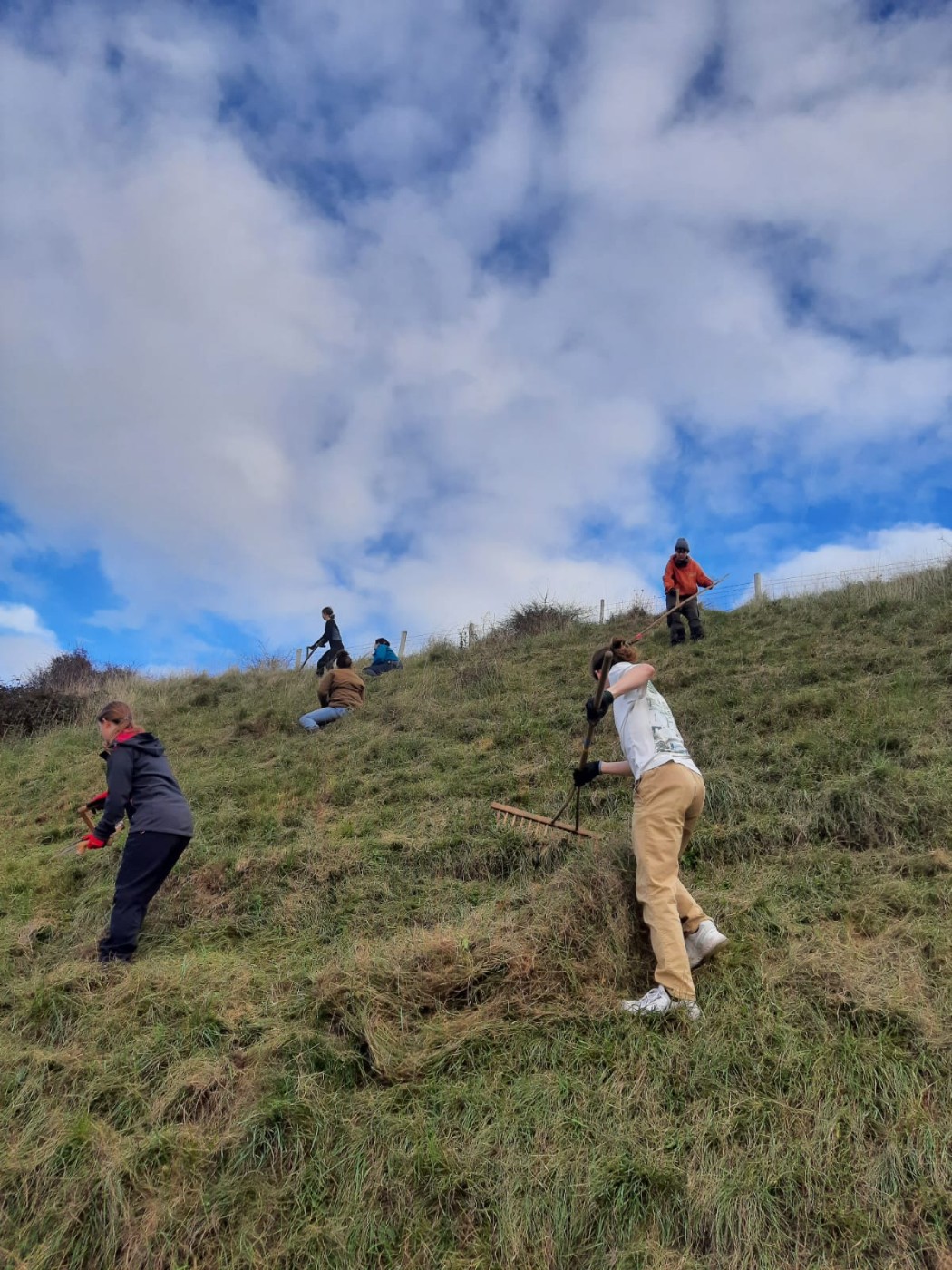 Re-Nature Scything Day image