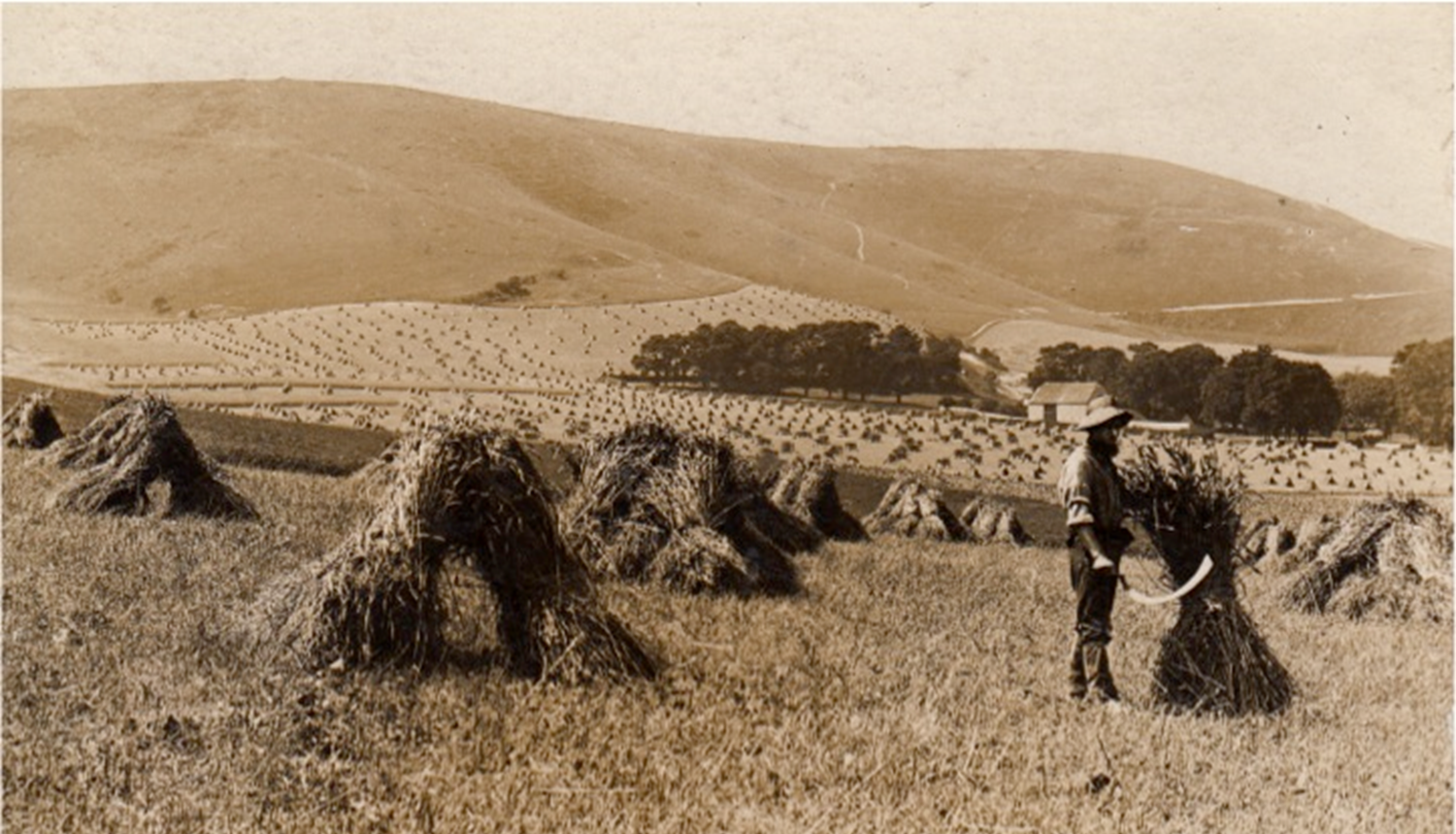 Stories from the Sussex Downs Talk image