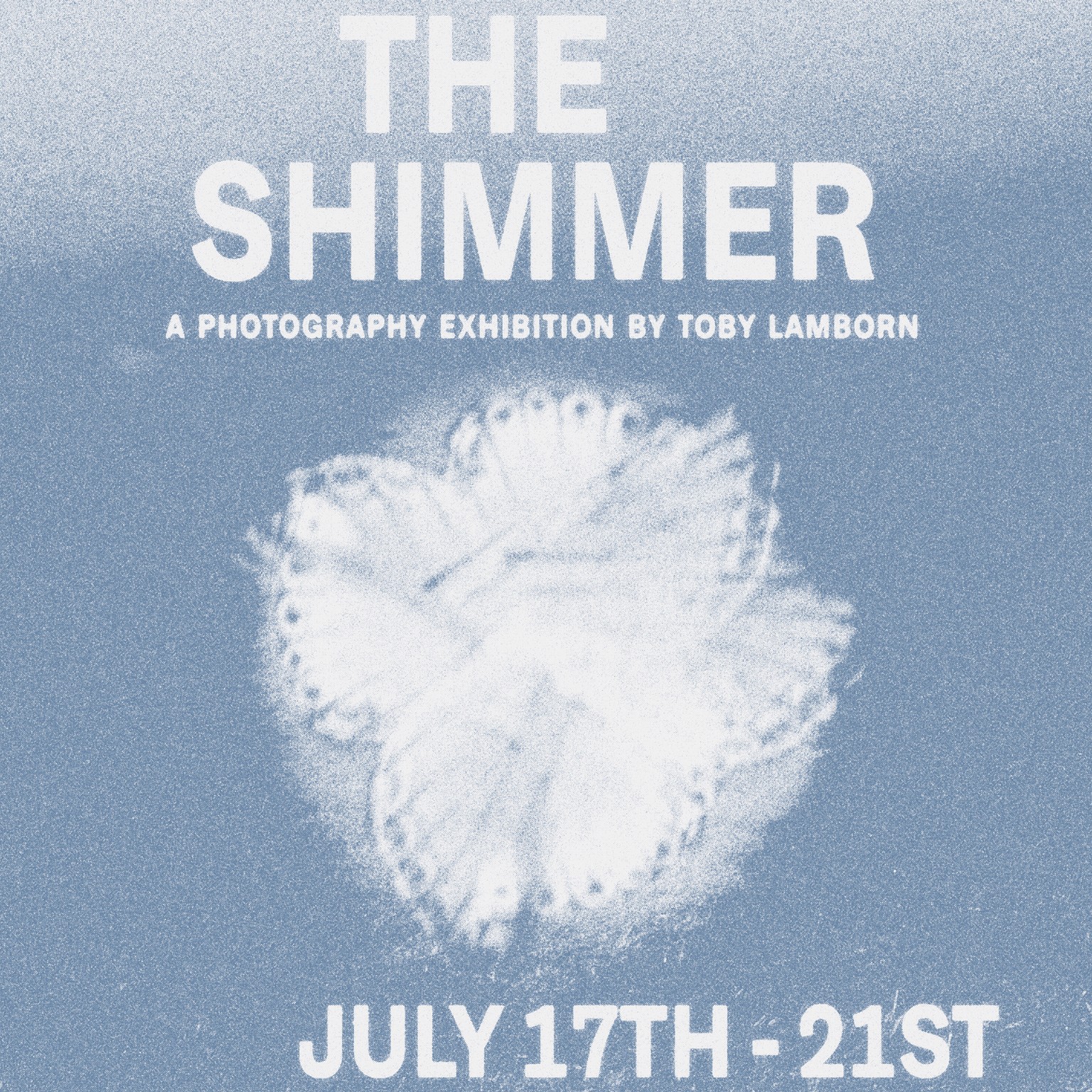 'The Shimmer' - A photography exhibition by Toby Lamborn image