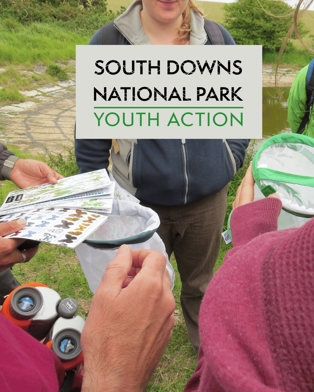 South Downs Youth Action: Seven Sisters Nature Recovery (November) image