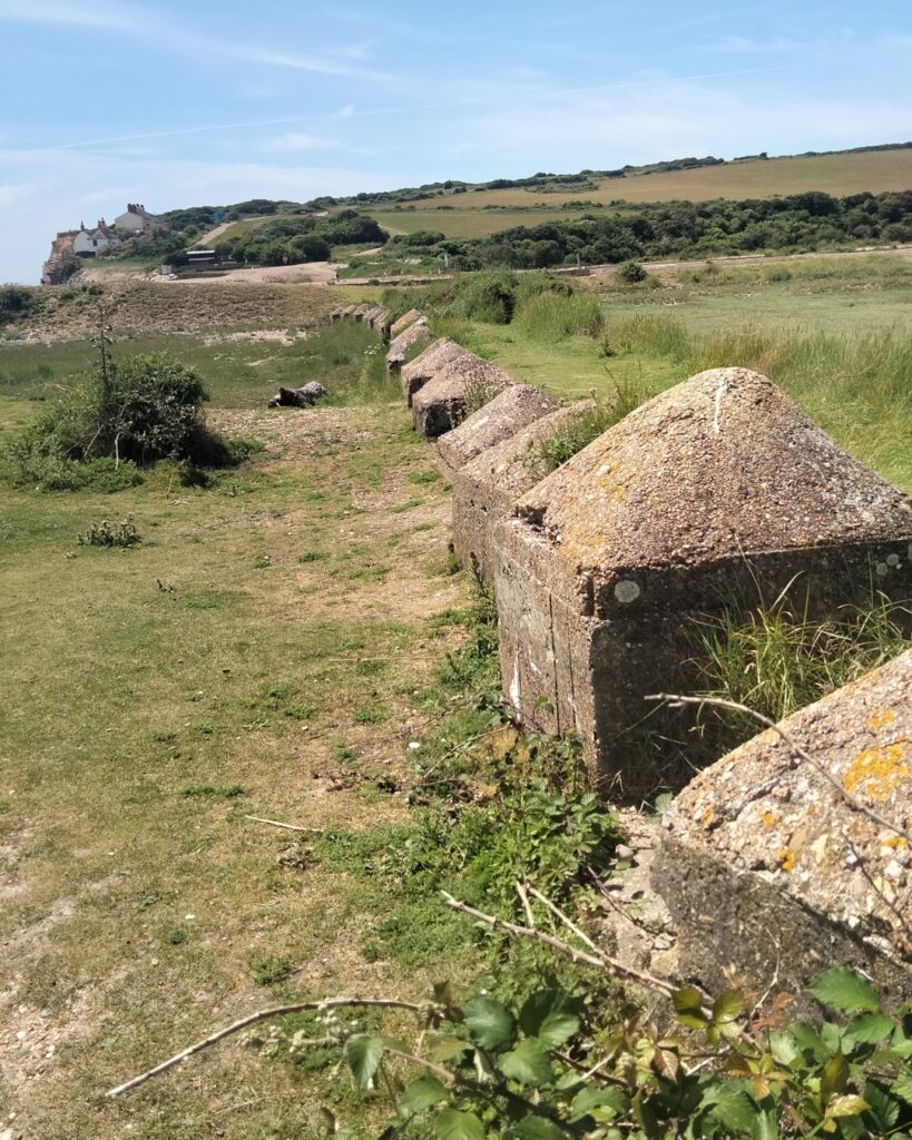 Row of concrete coastal defence blocks running through grassy coastal terrain, with hills, scrubland and houses visible in the distance on a sunny day.