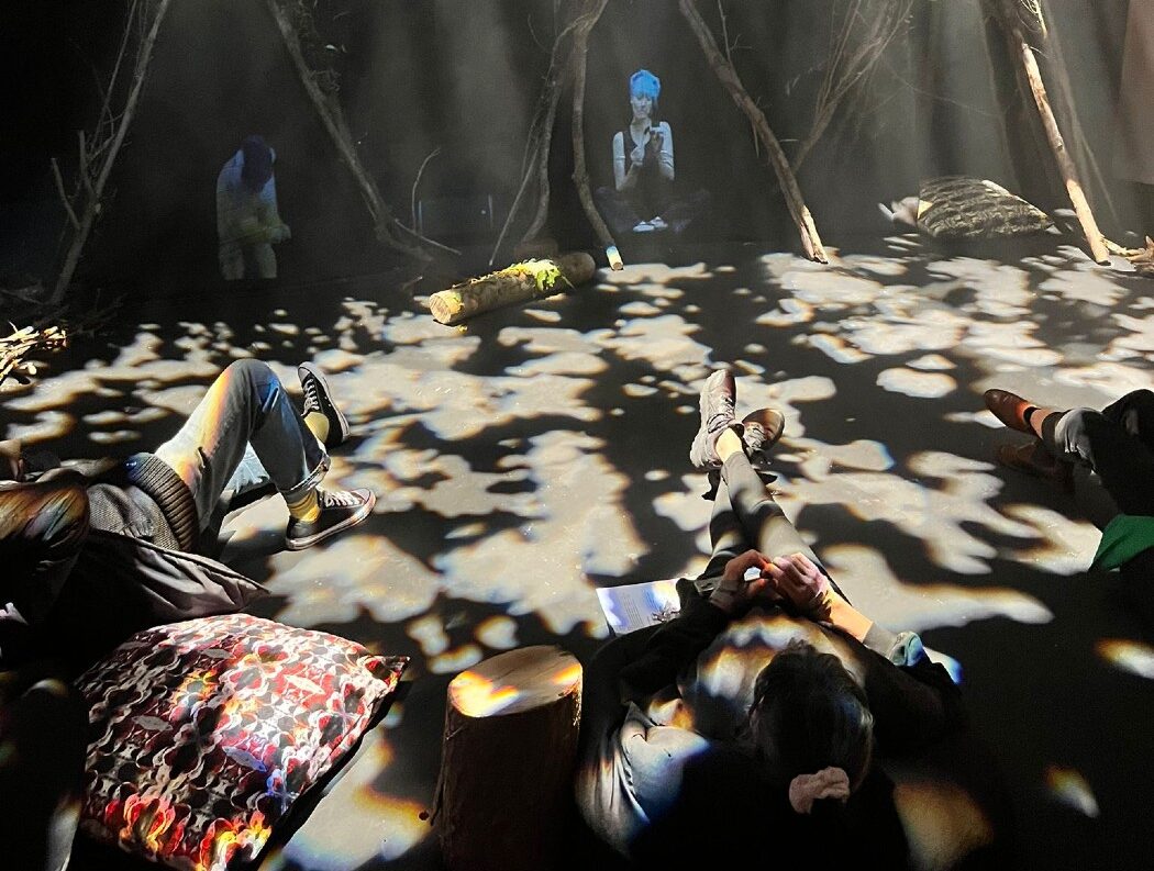 Capturing the Forest Exhibition image