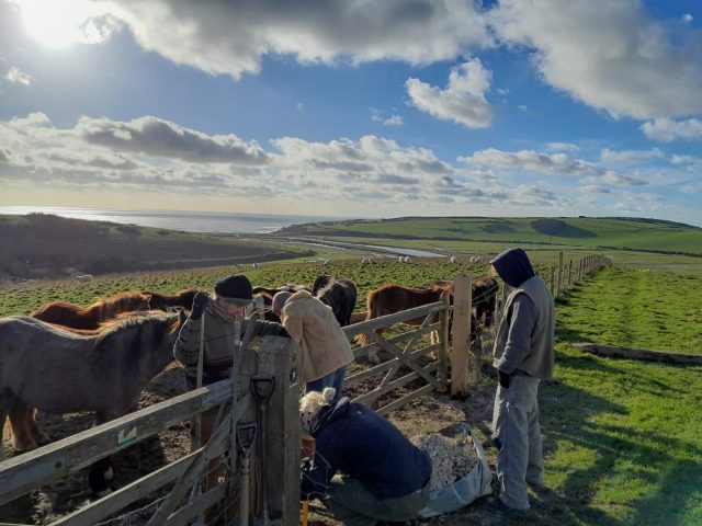 Thank you to our Youth Action volunteers helping Rangers replace gate posts last week ~ under the watchful eye of the ponies!

#Sevensisters #Southdowns #Nature

📷 Lawrence Leather