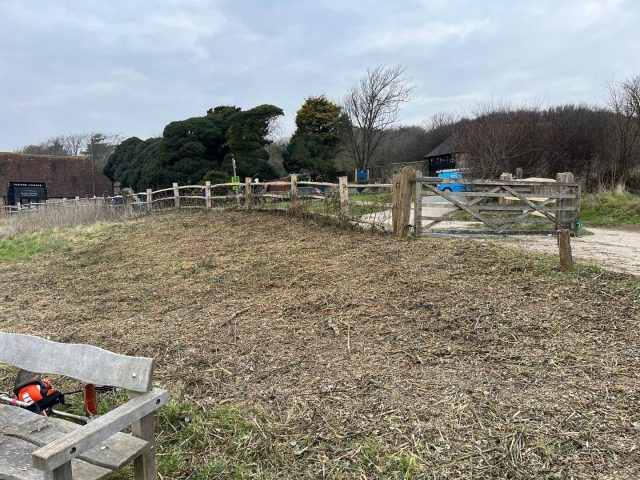 Rangers and volunteers have been busy clearing overgrown scrub at the entrance to the country park as part of our regular land management programme.

Removing the older scrub with dimishing wildlife value, will encourage young scrub and grass to grow back creating new habitats for our wildlife. 

It also enables our team to carry out planned maintenance,  making a nicer area for visitors to enjoy the view over Cuckmere Haven from the benches . 

📷  Sam Dowding

#Nature #CuckmereHaven #SevenSisters #SouthDowns