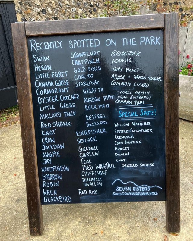 We love hearing what our visitors have spotted when they're out in the park.

Our 'recently spotted' board is regularly updated but isn't a full list of what you could see during your next visit. 

Several of these species can be found on the #RSPB Red and Amber Birds of Conservation Concern lists, so we're thrilled to see them here as a sign that our nature recovery is working. 

📷 SDNPA

#Nature #CuckmereHaven #SevenSisters #SouthDowns