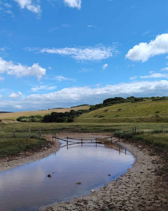 A peaceful moment in a busy country park. 

📷 Laura Clapham

#SevenSisters #SouthDowns #CuckmereHaven