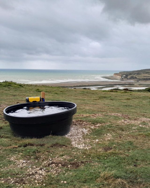 Water trough with a view!

Our livestock will be able to enjoy a new view as part of our year round grazing plans. This new trough and water supply to Haven Brow is part of our infrastructure improvement plan, supporting ongoing work to restore species rich grassland within the park .

📷 Sam Dowding 

#CuckmereHaven #SouthDowns