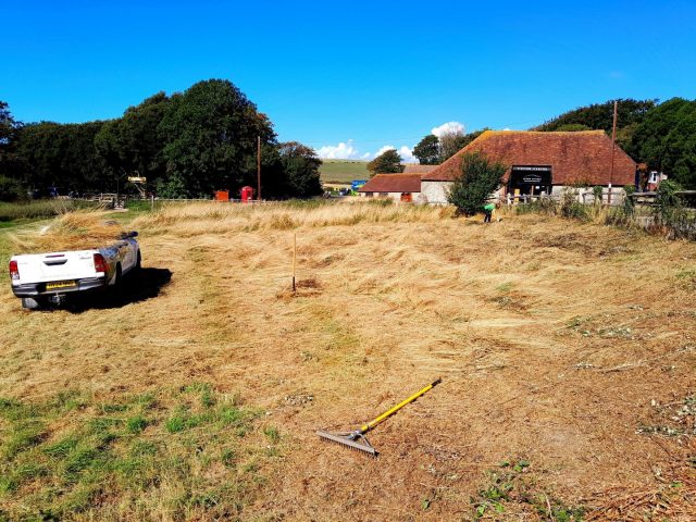 September tasks for our Rangers include grass cutting and collection.

This is part of our meadow management work encouraging species rich grassland. 

How many truck loads do you think our Rangers collected from this area?

📷 Sam Dowding

#CuckmereHaven #SuthDowns #Nature